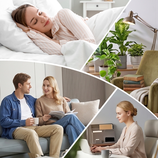 Where to Put an Air Purifier? 5 Things to Know for Better Indoor Air Quality